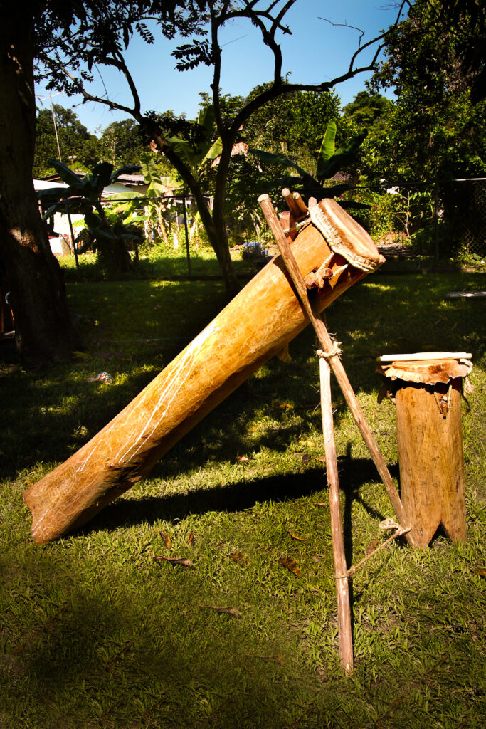 El Tambor Mina: 
En Barlovento tenemos una expresión que se conoce como Mina, que está compuesto por dos tambores que son el Mina propiamente dicho y su compañera la Curbata. Este conjunto fue un a herencia cultural de los pueblos que hoy se conoce como Ghana, Togo, Costa de Marfil y Burkina Faso que llegaron a nuestras tierras en medio del proceso de la esclavitud. El Mina se toca con dos baquetas o palos al igual que la Curbata, hechos de Chupón de Cacao que describiéramos antes; también se agrega un tercer elemento rítmico que son los Laurees, que son unos palos de mayor envergadura que los utilizados para tocar el Mina o la Curbata y que pueden s er de cualquier madera dura y se interpretan en el cuerpo del tambor Mina. También es común que los y las cantadoras utilicen una Maraca. El Mina mide aproximadamente dos metros de largo y se coloca sobre una cruceta del lado de su único parche, llamada cruceta de San Andrés. El tamborero entonces queda con la Boca (el parche del Mina) al frente suyo tocándolo de pie. La Curbata también es de un solo parche y se toca de pie con la diferencia que ésta mide alrededor de 80 cm. de altura y se sostiene sobre tres patas en su base. Su afinación es más aguda 
que la boca del Mina. La madera que se utiliza para la fabricación de ambos es l Aguacate y e n algunos casos Guayabo. Los cueros utilizados son de Venado y el sistema de afinación es de cuñas incrustadas en el cuero de cada tambor aunque hoy día se ha venido sustituyendo esto por la modalidad del uso de prensadores y llaves como algunos tambores Afrocaribeños. El Mina se interpreta durante las festividades de San Juan Bautista, 23, 24 y 25 de Junio, San Juan Congo (Curiepe el sábado siguiente a la festividad de San Juan Bautista) y más antiguamente como nos refiere la cultora Amelia Colina en la festividad de San Pedro, La virgen de Carmen , Santa Rosa, La Concepción, La asunción, Santo Domingo de Guzmán.