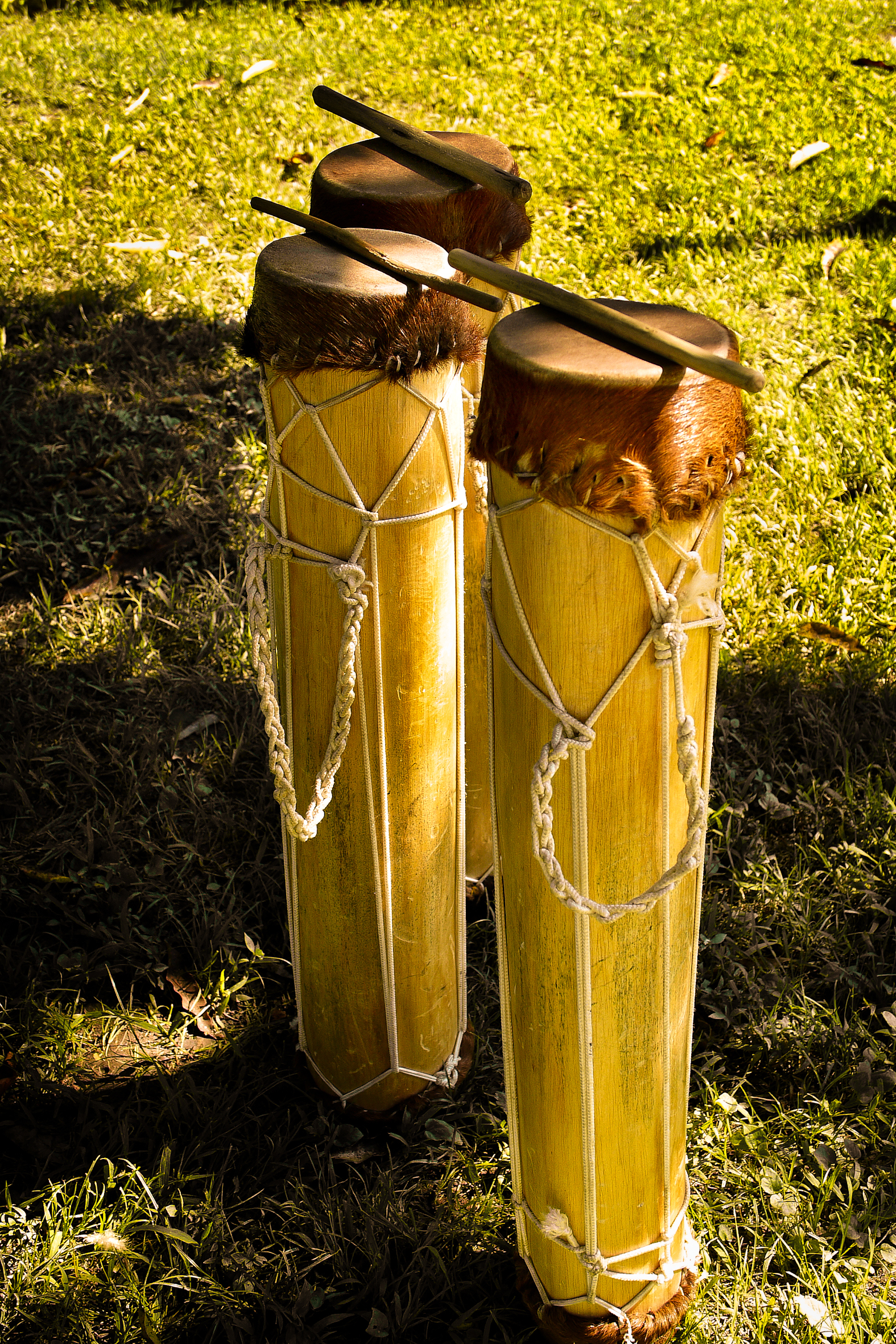 Tambores Culo E Puya